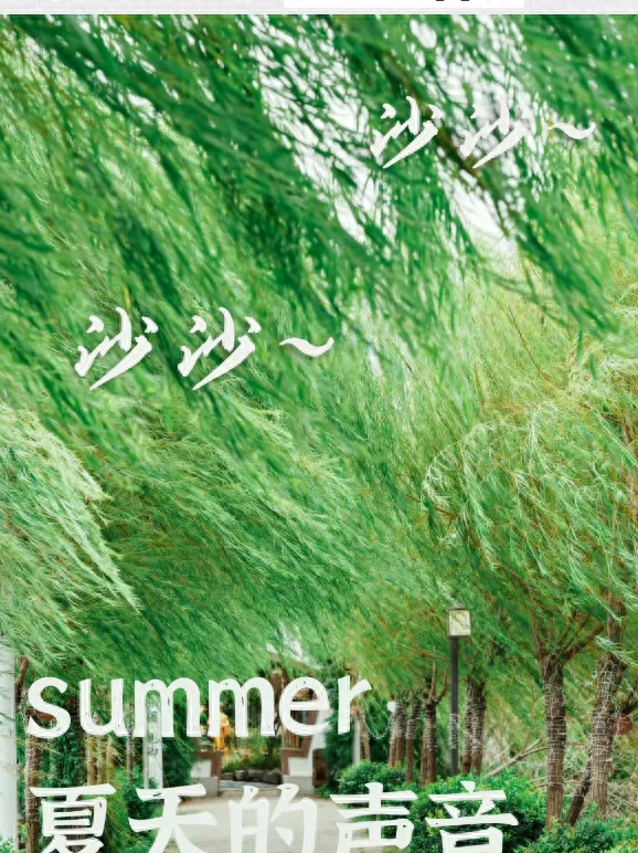 听，南昌夏天的声音▂ ▄ ▆