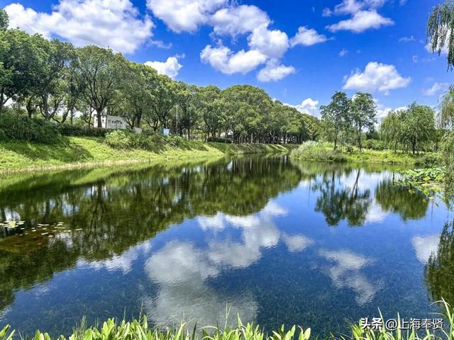 漫步河畔•贤美生活