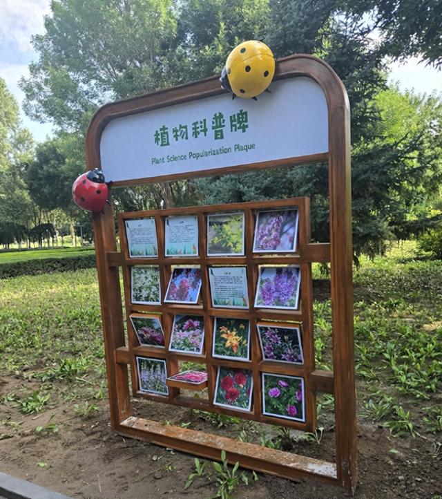 赤峰城区首个互动科普公园亮相！快来打卡！
