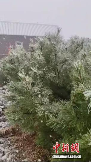 “中国最冷小镇”呼中迎今秋首雪 比去年晚3天
