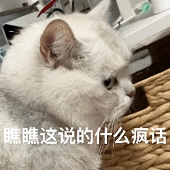 硅谷AI初创重新拥抱996