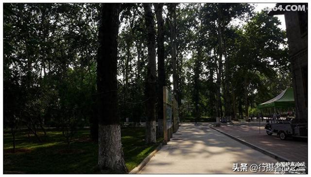 山东行游影记（15）—济南山东大学（二）