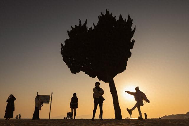 “爱心”树下 暮色醉人