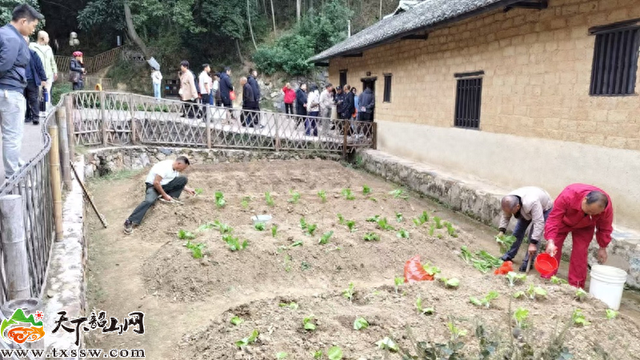 毛泽东同志故居菜园换季种新苗