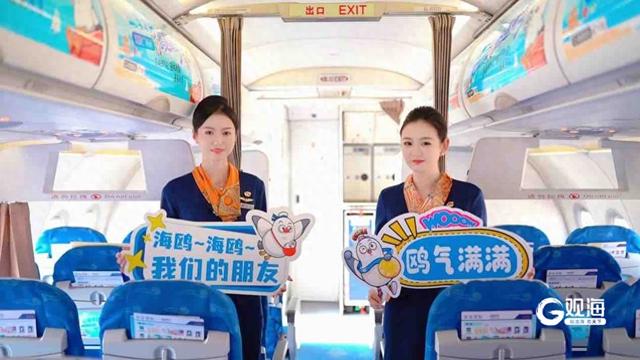 五大场景全域联动！从云端到海岸，青岛邀您开启鸥遇之旅