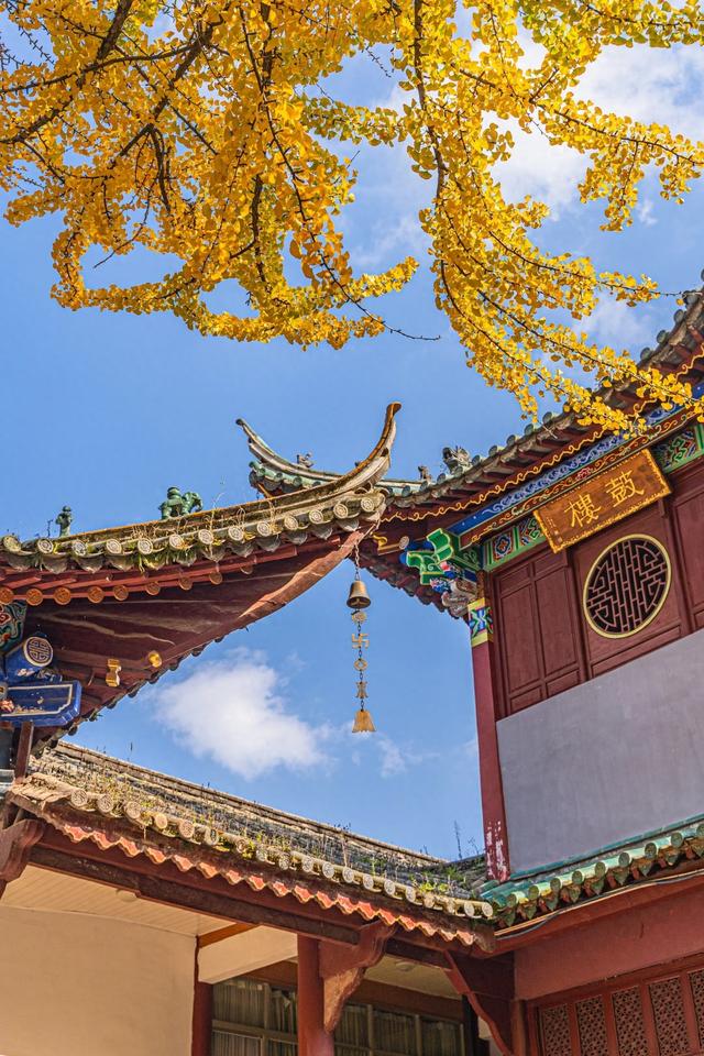 古寺暴击，在禅意中观赏金色银杏叶