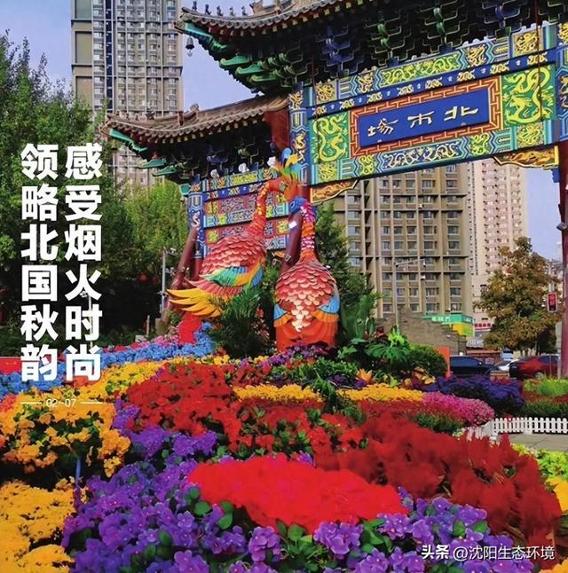 发现沈阳之美｜领略北国秋韵 感受烟火时尚