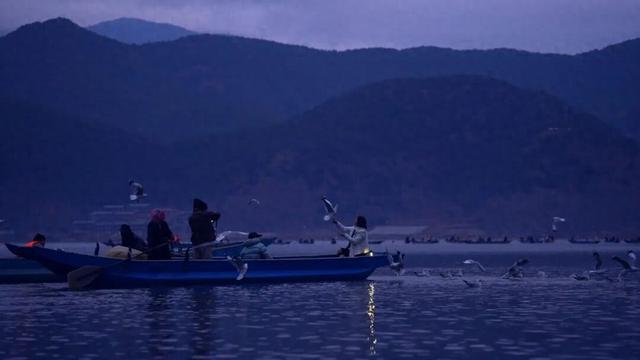 泸沽湖冬日限定浪漫：乘猪槽船，赴一场红嘴鸥之约