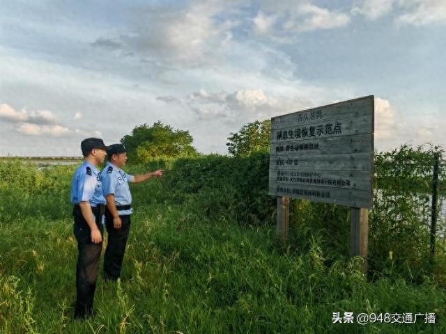 筑牢生态保护法治屏障 共绘美丽武汉建设新画卷