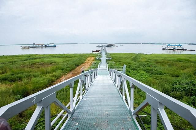 岳阳新晋一个“网红打卡点”：这座浮桥能看飞鸟、观水波，超出片