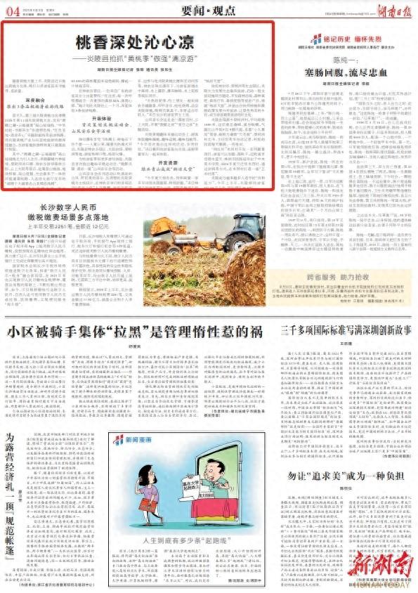 桃香深处沁心凉——炎陵县抢抓“黄桃季”做强“清凉游”