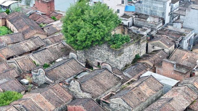 探秘温贯炮楼：深藏于高要乡间的古代军事堡垒