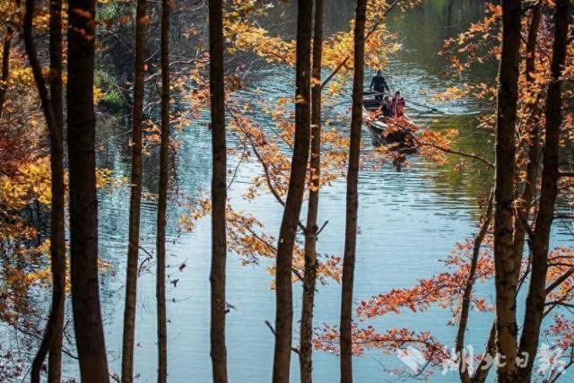 蕲春塔林的秋天，让人不愿离开