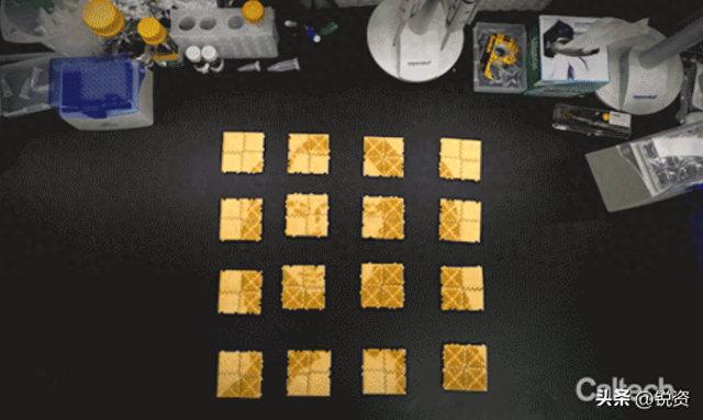 医疗领域大动作！加州突破DNA人工神经网络！碳基智能时代来临