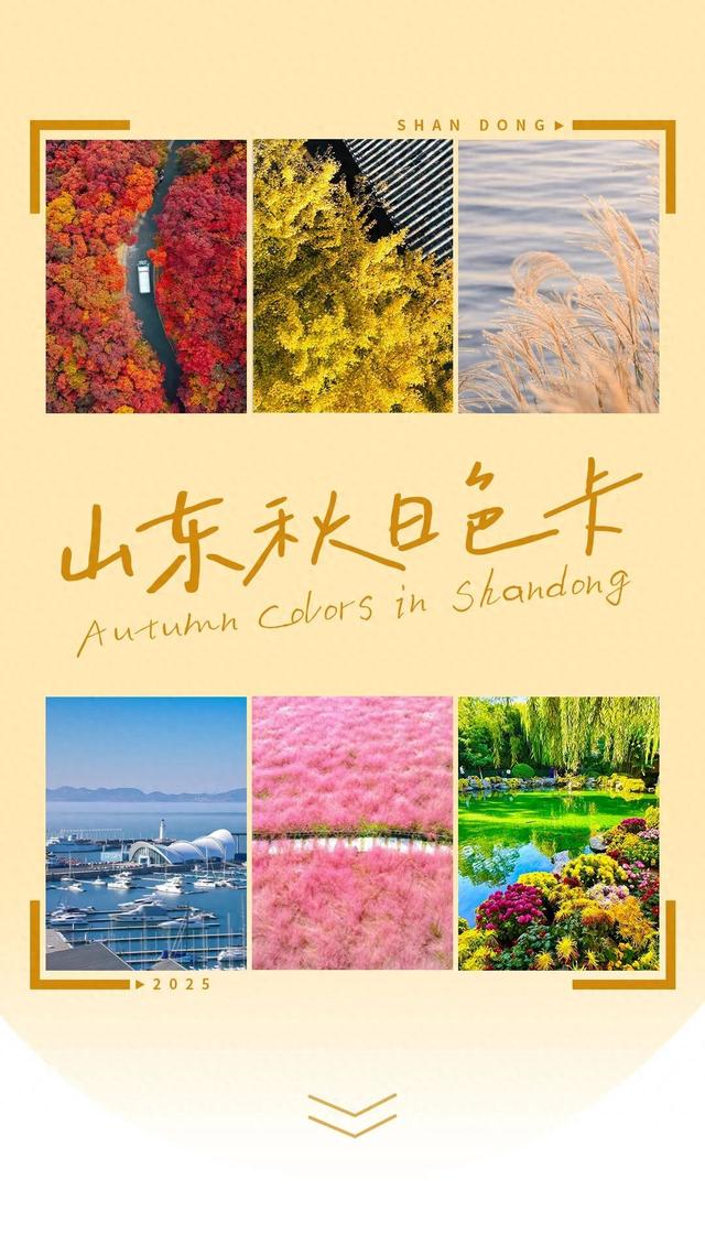 美到失语！山东秋天的限定「色卡」，你集齐了吗？