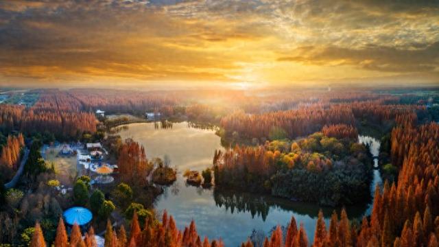 各类“崇明文旅宝藏”，在这里可以一站式体验！