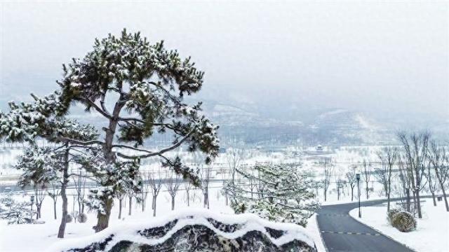超级玛丽梦幻版冰雪（太原人 藏不住了请收藏这份冬日专属浪漫）