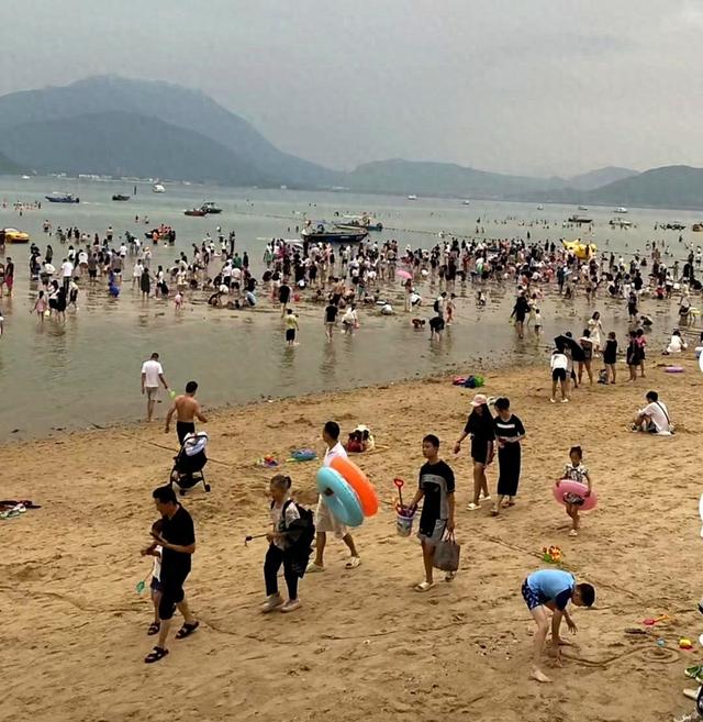 深圳民宿老板太卷了！4天撒2吨海鲜让游客随便捡