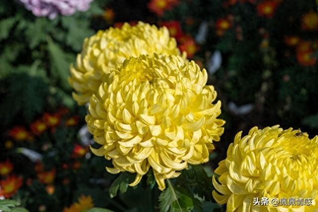 我同居过7位女性	，发现女人40岁后找伴侣，无非就这3个“实在话	”