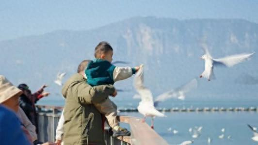 绝了！一汪清水引鱼回，美到出圈还能赚钱丨只此青绿 江山答卷