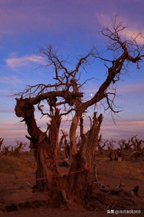 夕阳下的思绪——永恒的家国情怀