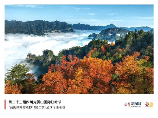 “‘最高”规格邀约！” 光雾山红叶火炬登上中国第一高楼