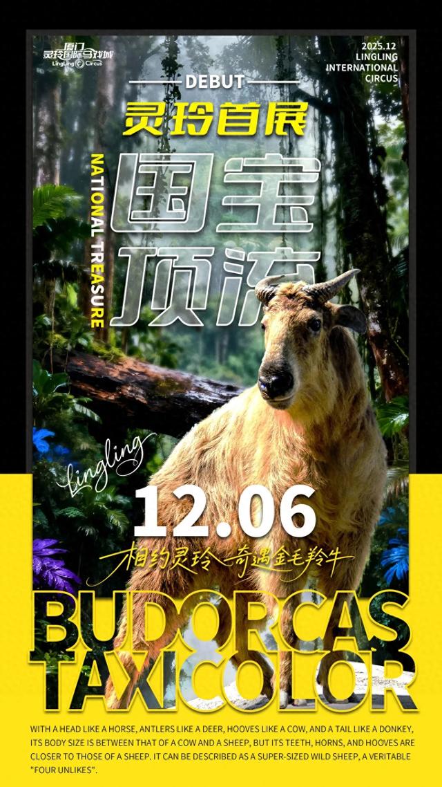 好“牛”！国宝顶流，厦门首展！送票→