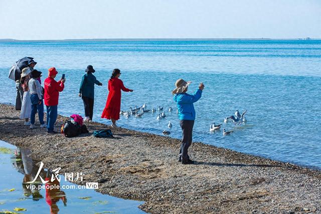 青海湖美景引客来