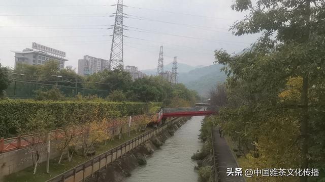 旅途美文：漫步米易