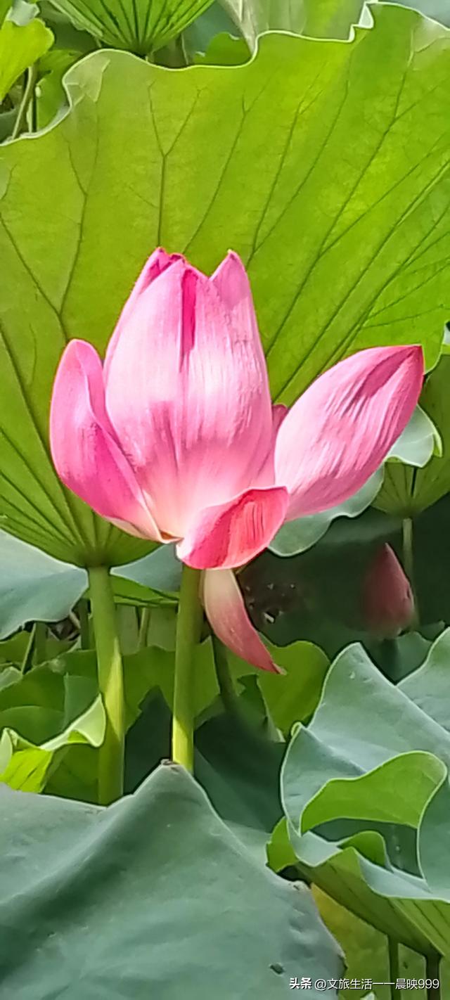庐阳周末：合肥包公祠夏日游客爆棚