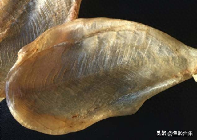 花胶 白色 2026年花胶白色一洗就变黄最简单处理