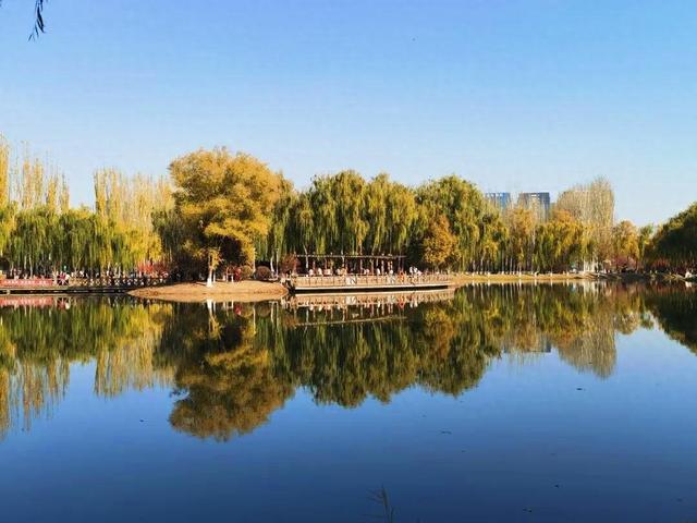 超百万人次打卡！银川市凤凰公园迸发新活力