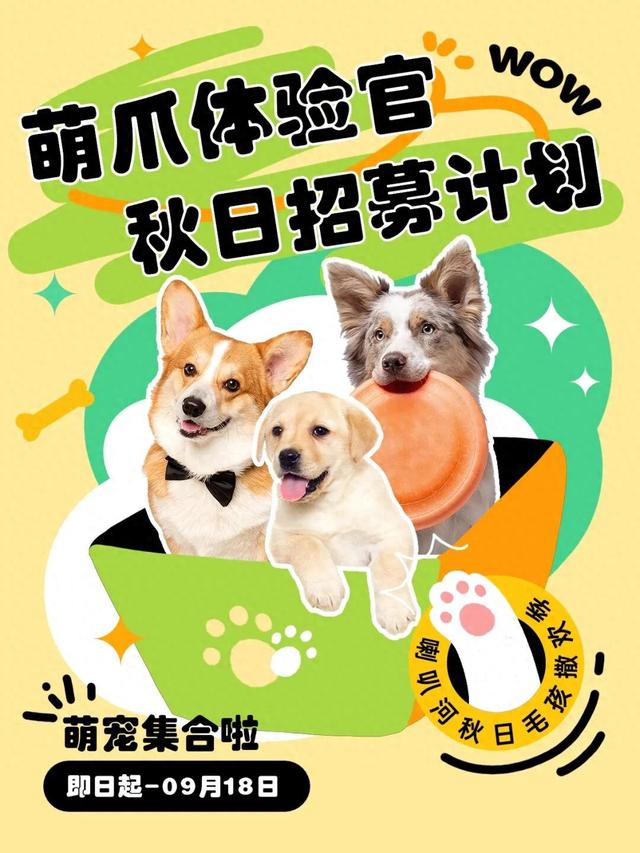 带上爱宠，免费玩转喇叭河！喇叭河首届「萌爪体验官」招募令来啦！