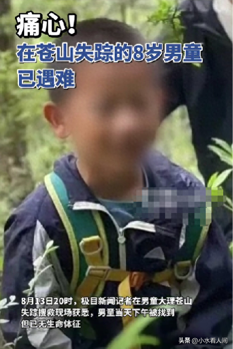 痛心！自闭男童遗体距走失处1公里，冰冷躺在溪沟石缝，没穿衣服
