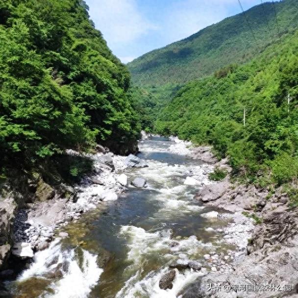 夏季避暑有“凉”方，黑河山水邀你共赴清凉盛宴！