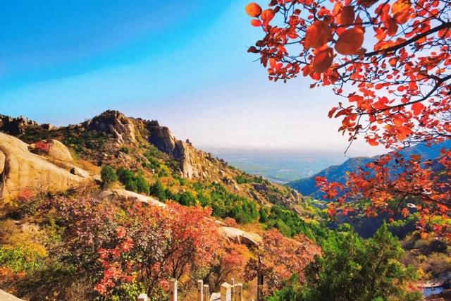 登高赏秋！海淀这里的红叶正进入最佳观赏期——