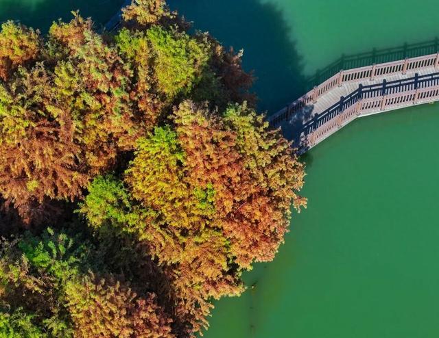 超出片！在这里一键解锁限定杉色