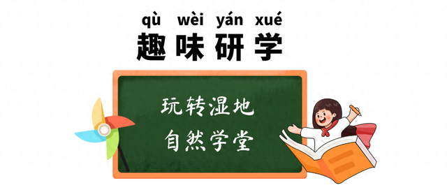 秋假不出远门！在莲都，解锁花样玩法