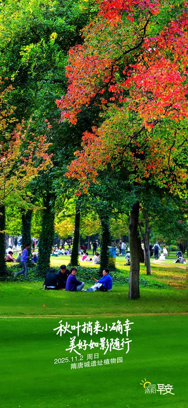 【洛阳·早安】秋叶捎来小确幸