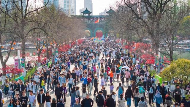 太火爆！南京，Top1