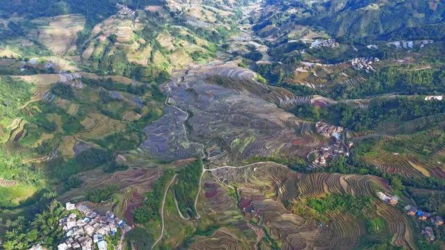 【秀美绿春】将初冬的色彩，藏进梯田的褶皱里