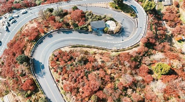 宁波秋季乡村游，魅力何在？