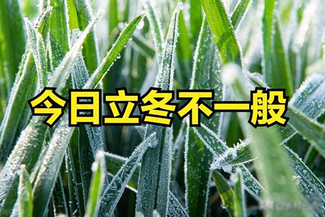 今日立冬不一般，最怕“立冬一日晴”，立冬晴天好还是下雨好？