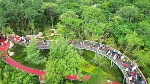 正式启用，济南新增一条无障碍绿道