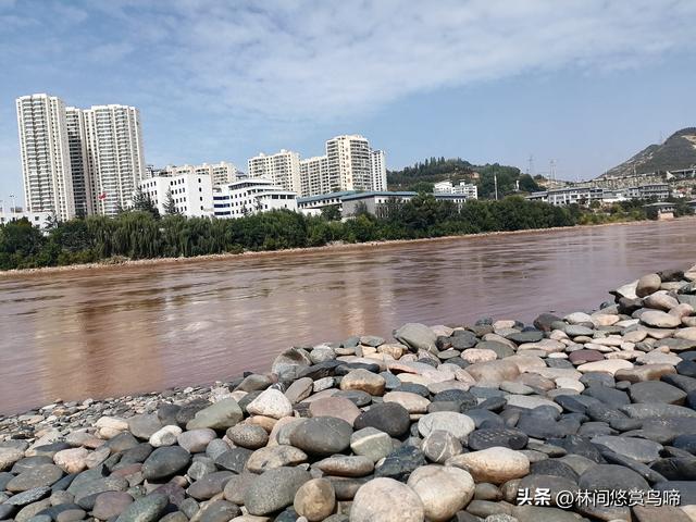 林间逃脱攻略（你跑我追大作战）