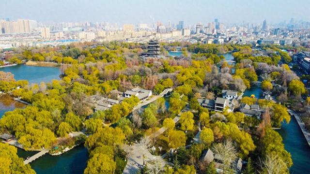 济南大明湖，这一幕幕画面，太美了 | 回望30年·身边的济南时报