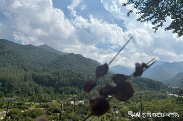 【青海在线网·散文】浪山，暑假的终极彩蛋