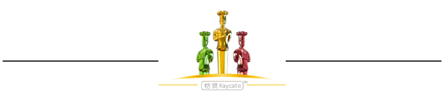 鸡肉干贝花胶沙虫汤 花胶干贝炖鸡