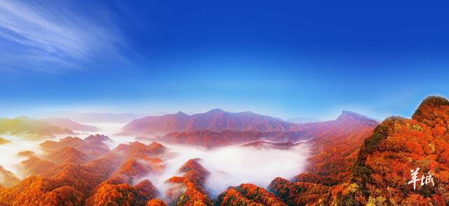 邀老广赏“亚洲最长红地毯”，四川光雾山国际红叶节来广州推介