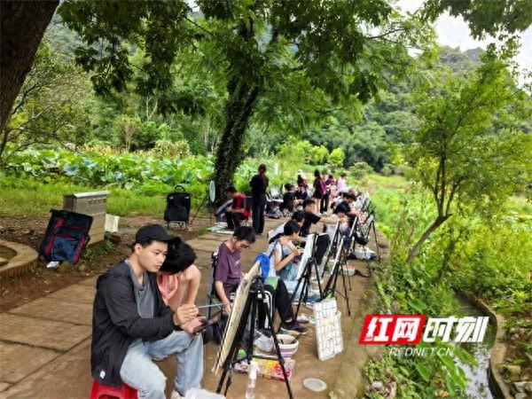 湖南江永：研学热带动产业兴
